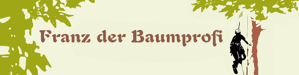 Dummy-Image